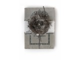 Buch-Nest_web
